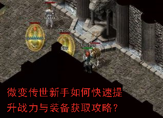 ΢�䴫��������ο�������ս����װ����ȡ���ԣ�