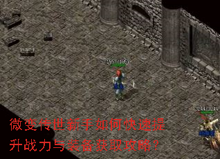 ΢�䴫��������ο�������ս����װ����ȡ���ԣ�