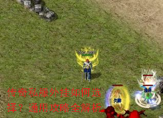 传奇私服外挂如何选择?通用攻略全解析 传奇私服外挂如何选择?通用攻略全解析