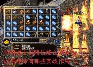 �����ʿȺ���������Ŷ���ս�о�������Щʵս���ã�