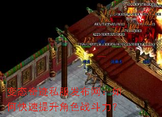 ��̬�漣˽������������ο���������ɫս������