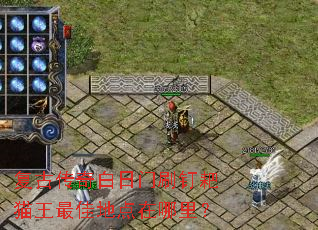 ���Ŵ��������ˢ����è����ѵص������