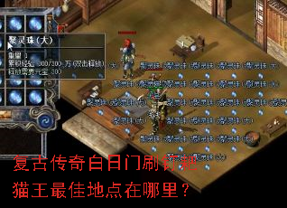 ���Ŵ��������ˢ����è����ѵص������