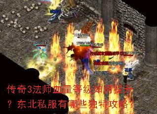 传奇3法师血量等级如何提升?东北私服有哪些独特攻略? 传奇3法师血量等级如何提升?东北私服有哪些独特攻略?