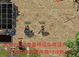 传奇3法师血量等级如何提升?东北私服有哪些独特攻略? 传奇3法师血量等级如何提升?东北私服有哪些独特攻略?