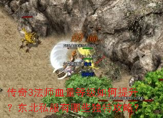 传奇3法师血量等级如何提升?东北私服有哪些独特攻略? 传奇3法师血量等级如何提升?东北私服有哪些独特攻略?