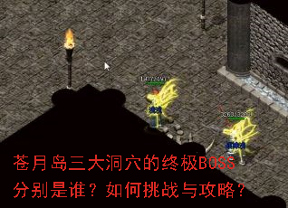 ���µ�����Ѩ���ռ�BOSS�ֱ���˭�������ս�빥�ԣ�