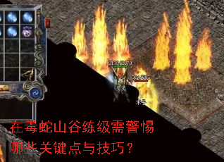 在毒蛇山谷练级需警惕哪些关键点与技巧? 在毒蛇山谷练级需警惕哪些关键点与技巧?