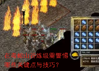 在毒蛇山谷练级需警惕哪些关键点与技巧? 在毒蛇山谷练级需警惕哪些关键点与技巧?