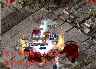 ΢�䴫��ϻ�����������ο�������ս����