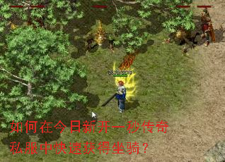 ����ڽ����¿�һ�봫��˽���п��ٻ�����