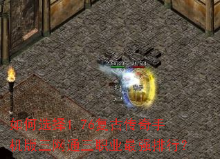 ���ѡ��1.76���Ŵ����ֻ�������ͨ��ְҵ��ǿ���У�