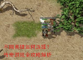 ��ͬӢ�����ѡ�񣿴�����Ϸȫ���Խ���