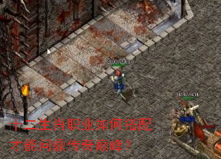 ʮ����Фְҵ��δ�������ʶ������۷壿