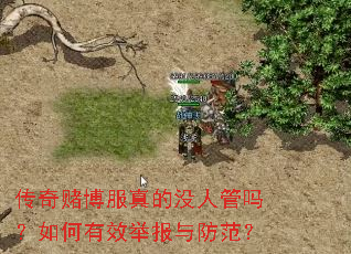 传奇赌博服真的没人管吗?如何有效举报与防范? 传奇赌博服真的没人管吗?如何有效举报与防范?