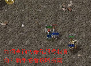 ��β�ѯ����˽����Ȩ��α�����ֱؿ�����ָ��