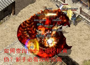 ��β�ѯ����˽����Ȩ��α�����ֱؿ�����ָ��