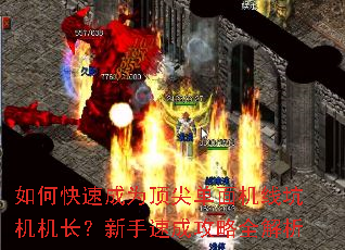 如何快速成为顶尖单面机线坑机机长?新手速成攻略全解析 如何快速成为顶尖单面机线坑机机长?新手速成攻略全解析