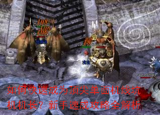 如何快速成为顶尖单面机线坑机机长?新手速成攻略全解析 如何快速成为顶尖单面机线坑机机长?新手速成攻略全解析