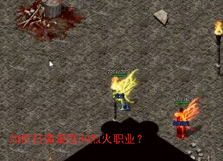 ��δ�����ǿRO�һ�ְҵ��