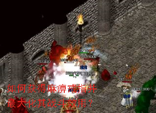 如何获得麻痹戒指并最大化其战斗效用? 如何获得麻痹戒指并最大化其战斗效用?