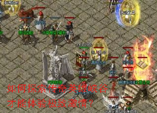 ���̽������Ӣ��Ͽ�Ȳ������鼫�¼��飿