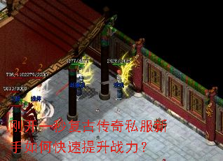 �տ�һ�븴�Ŵ���˽��������ο�������ս����