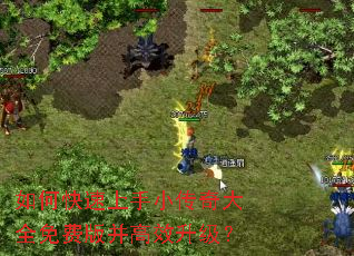 如何快速上手小传奇大全免费版并高效升级? 如何快速上手小传奇大全免费版并高效升级?